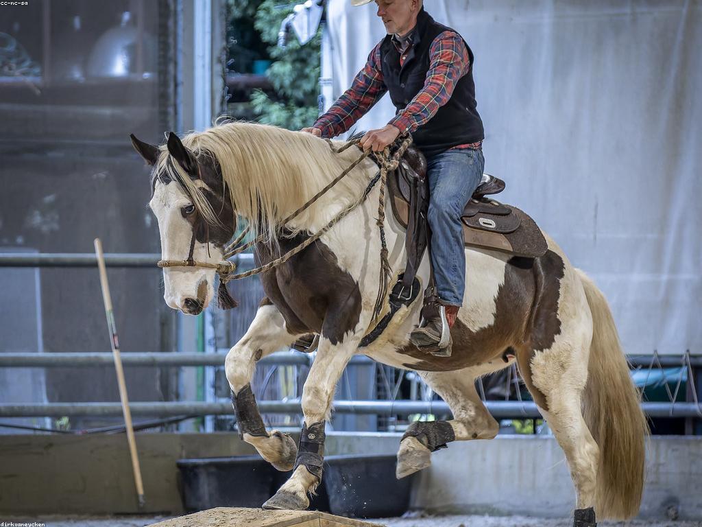 វិធីរៀបចំសម្រាប់ការប្រកួតកីឡា