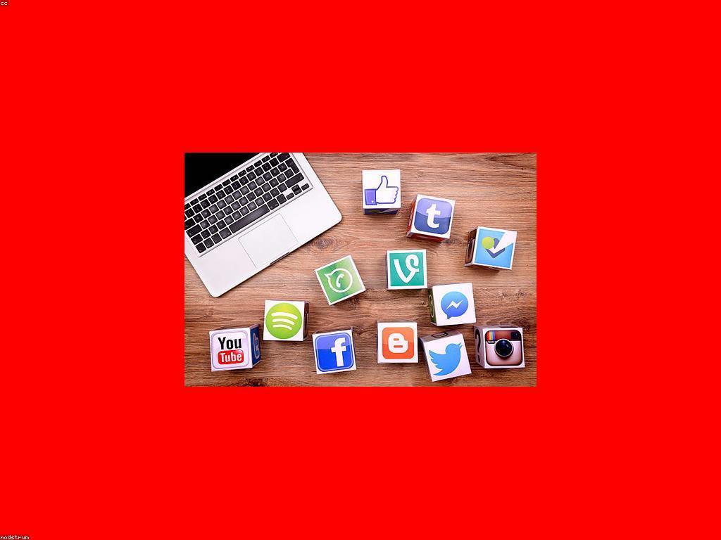 ការណែនាំសម្រាប់អ្នកថ្មីក្នុងការធ្វើទីផ្សារឌីជីថល