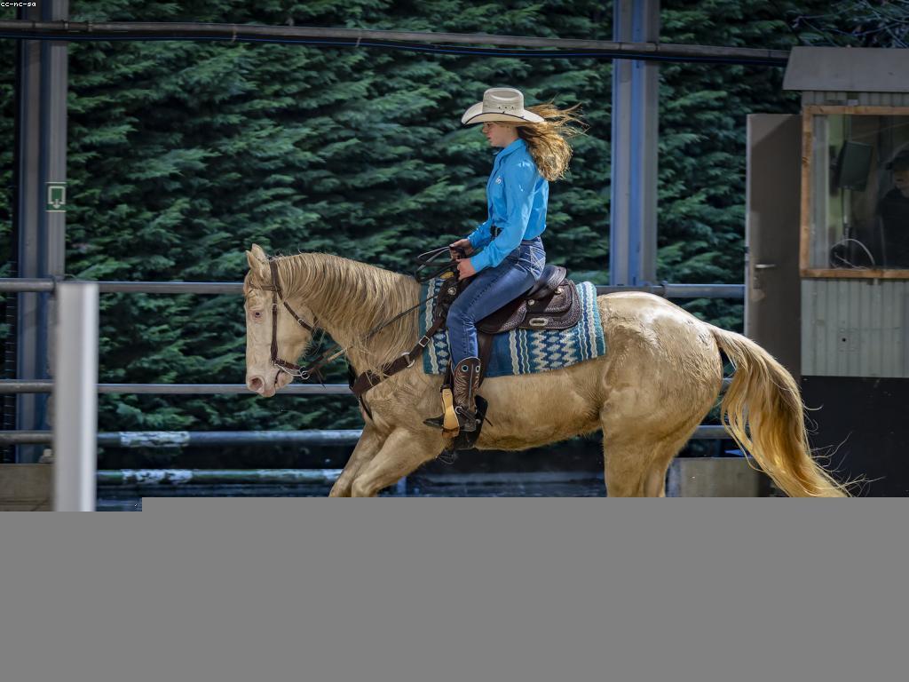 អភិវឌ្ឍន៍ប្រវត្តិសាស្ត្រនៃការប្រកួតកីឡា