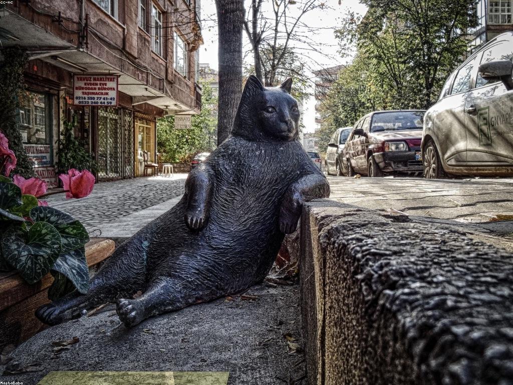 មគ្គុទេសក៍មូលដ្ឋានសម្រាប់អ្នកថ្មី