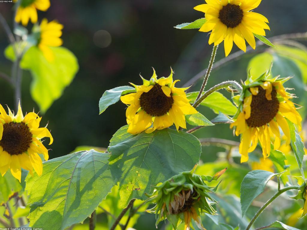 ព័ត៍មានអំពីការប្រកួត: កន្លែងលេងល្បែងល្បីដែលអ្នកគួរយល់ដឹង